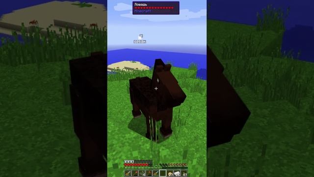 Гайд на Лошадь в майнкрафт / Horse in Minecraft #shorts #minecraft #horse #gaming #games #gide