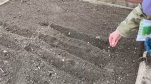 ДЕЛАЕМ ГРЯДКИ/САЖАЕМ ЗЕЛЕНЬ/ВЕСНА В ДЕРЕВНЕ#домвдеревне #дача