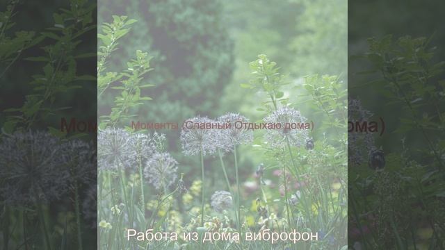 Созерцая (Успешный Социальное дистанцирование)