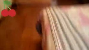 Моя квартира