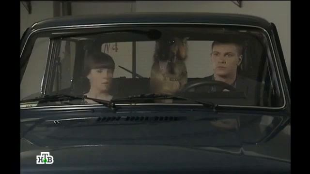 Возвращение Мухтара 2. Оправдательный приговор смотреть онлайн