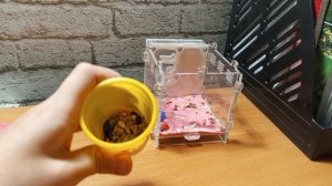 переселение Муравьёв Жнецов Кирилл и насекомые