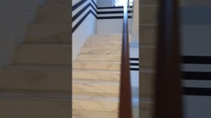 Апартаментный комплекс Вояж на Ленина, Адлер. Курортный городок.