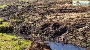 Река Дубна под угрозой застройки #Талдом