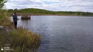 Смена ветра и плавучие кусты …