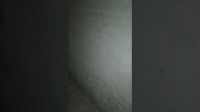 23 сентября 2019 г. смотреть онлайн