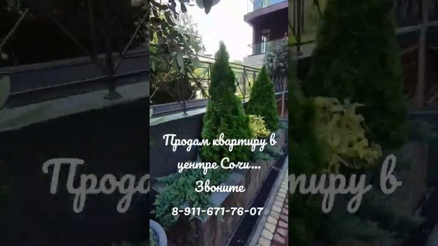 Продам квартиру в Сочи. Звоните 8-911-671-76-07 смотреть онлайн