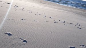 Песочек у моря.mp4