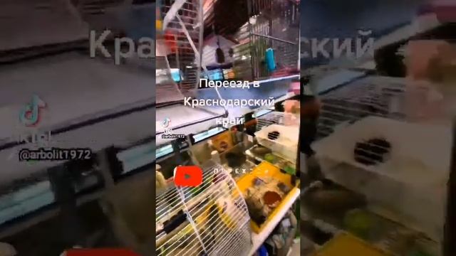 Каневская Каневской Район Краснодарский Край , Купить дом  Каневская , Продается Дом  Каневская