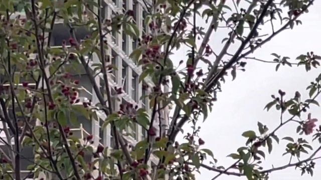 Покупка-продажа Недвижимости #выгодныеусловия #бизнескласс #современноеЖильё #москва #realEstate