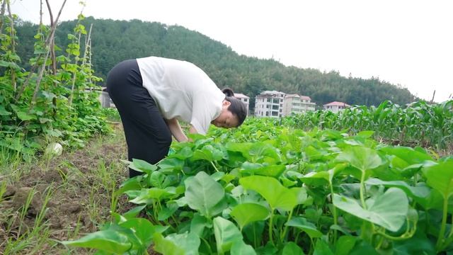 媳婦又網購買東西，一箱瓶瓶罐罐，看看都有什麼 смотреть онлайн