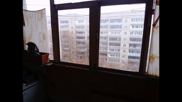 Квартира на Парковой смотреть онлайн