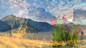 Что такое Сатори?