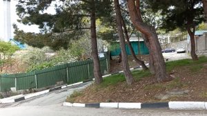 ГАСПРА УЛИЦА ТАМАРЛЫ & ПЕРЕКРЁСТОК
