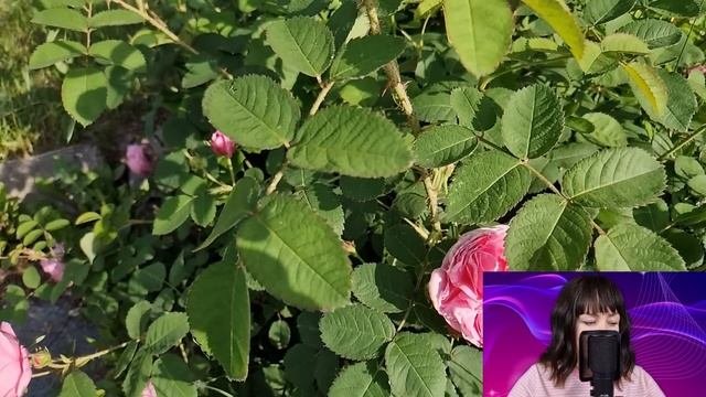 Найдя в телефоне мужа два билета в Париж, Наташа оцепенела. Но купив себе билет на тот же самолёт..