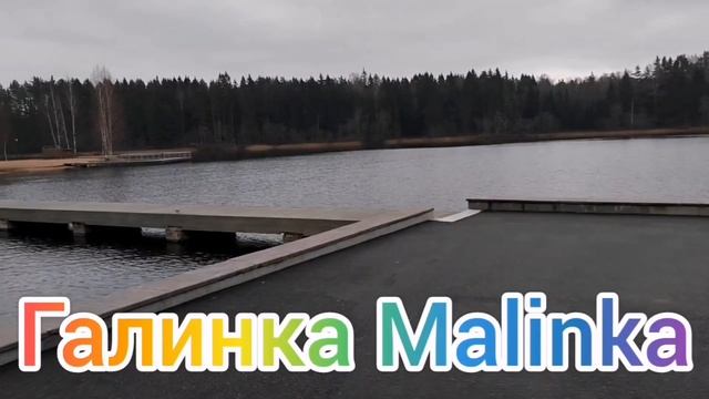 Ольга Уралочка live /Срочно /Купили квартиру /Обзор /Уралочка и Сафар