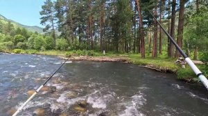 РЫБА ЕСТЬ! Рыбалка на реке Чемал - В центре курорта, в общей доступности!