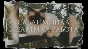 саблиминал желаемая работа/должность [🐈]