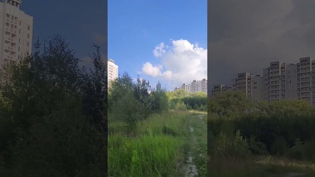 Припять по Московски. Микрорайон Кузнечики 2, г. Подольск