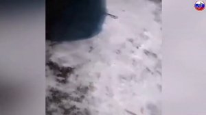 Самые Жеские Драки Алкашей / Самые Убойные Драки