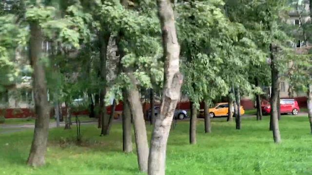 Прогулка по Азовской улице до перекрёстка с Черноморским бульваром, Зюзино, г. Москва, 04.08.2023