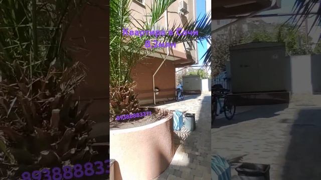 купить квартиру в Сочи недорого #море #недвижимость #realestate #квартира #отдых #сочи #пляжный смотреть онлайн