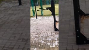 Санаторий Белая Русь, Нарочь