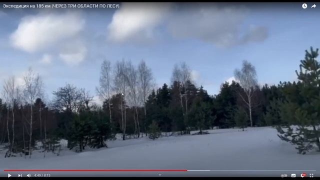 Реакция на -Экспедиция на 185 км |ЧЕРЕЗ ТРИ ОБЛАСТИ ПО ЛЕСУ|#путешествия #красотыприроды