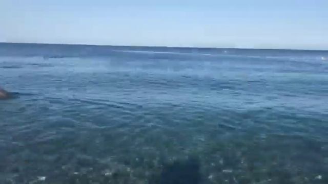 Пляж Ольгинка утром и вечером. Наш сайт: апаратаментыназаречной.рф