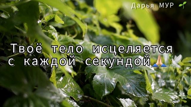Аффирмации на здоровье - Исцеление и Оздоровление-Сила мысли
