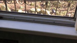 город Севастополь, улица Шмидта, 3