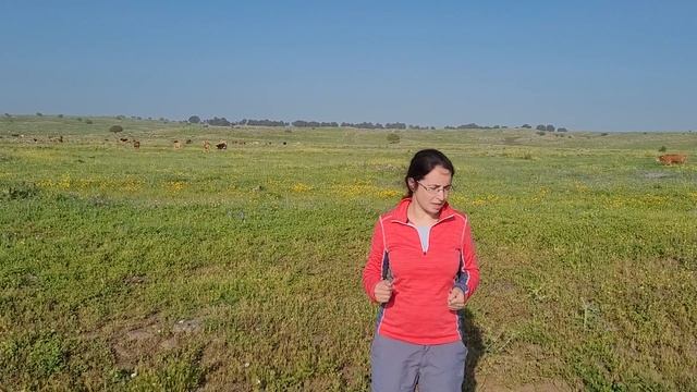 Налогообложение недвижимости в Израиле смотреть онлайн