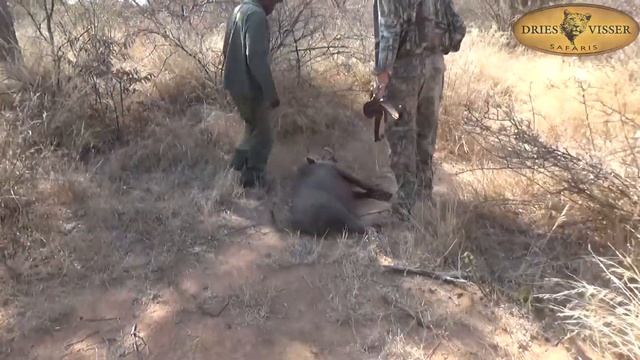 John Frerich смотреть онлайн