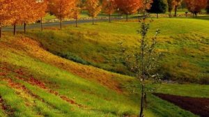 Выгнала сестру на улицу и ждала когда та будет проситься обратно, а когда сама оказалась на улице