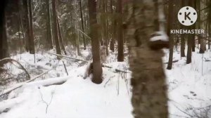 Такой проверки у меня ещё не было!!!