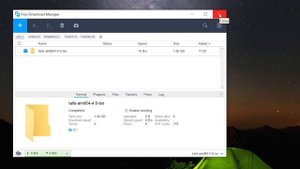 Tails OS Install Tutorial in VirtualBox on Windows