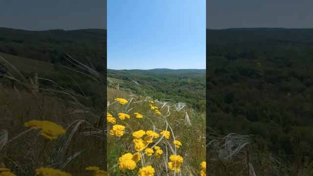 #Природа Тюльганского района Оренбургской области #nature #natureofrussia #naturebeauty смотреть онлайн