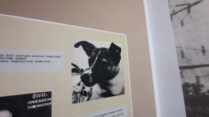 МУЗЕЙ К.Э. ЦИОЛКОВСКОГО / С.ИЖЕВСКОЕ РЯЗАНСКАЯ ОБЛАСТЬ #музей #циолковский #космос