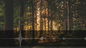 Мужчина в тайне жил на две семьи и это только начало...