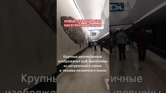 НАГАТИНСКИЙ ЗАТОН - новые станции БКЛ московского метро #москва #бкл #нагатинский смотреть онлайн