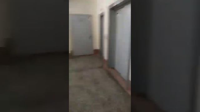 Крылова 32 кВ 262 смотреть онлайн