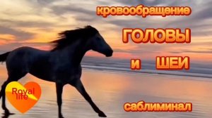 Этот саблиминал поможет восстановить правильное кровообращение в области головы и шеи-аффирмации