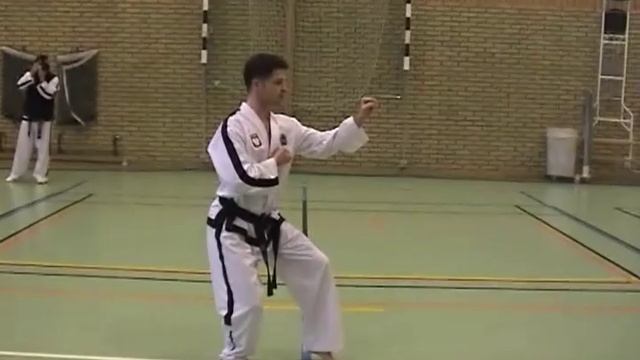 Taekwon-do ITF - juche. Ч 15