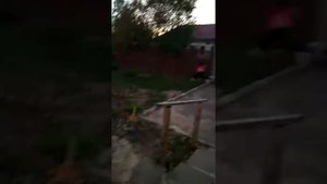 Девки дерутся