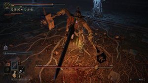 Elden Ring Дуэлянт, хранитель могил (151)