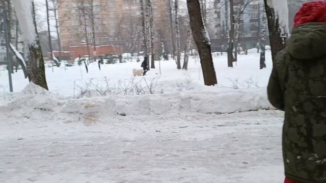 #FufaLand / В парке зимой / Зимой в парке