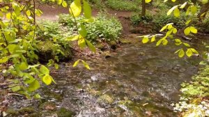 Песня Гренадёрки