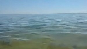 Скадовск.Пляж4 августа 2024.