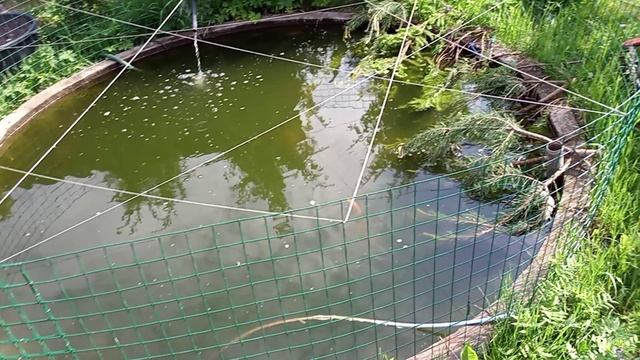 нерест комет смотреть онлайн