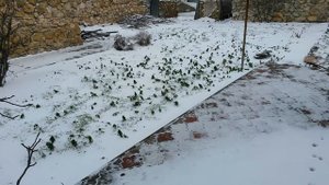 23 февраля 2019, Бахчисарайский район, село Табачное